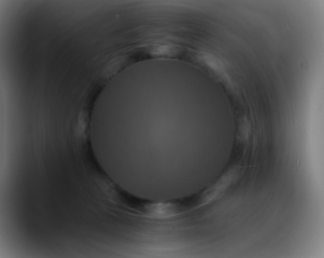 X0000089730273200707121454