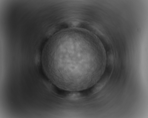 X0000089730274200707121454