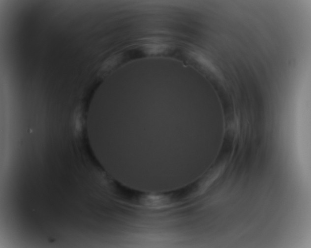 X0000089730277200707121455
