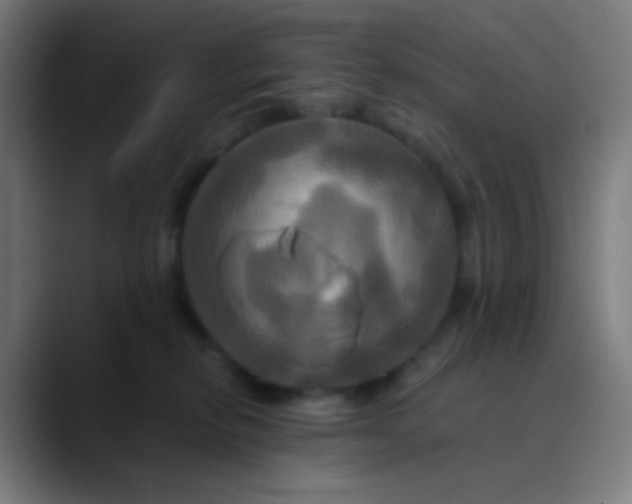 X0000089730278200707121455