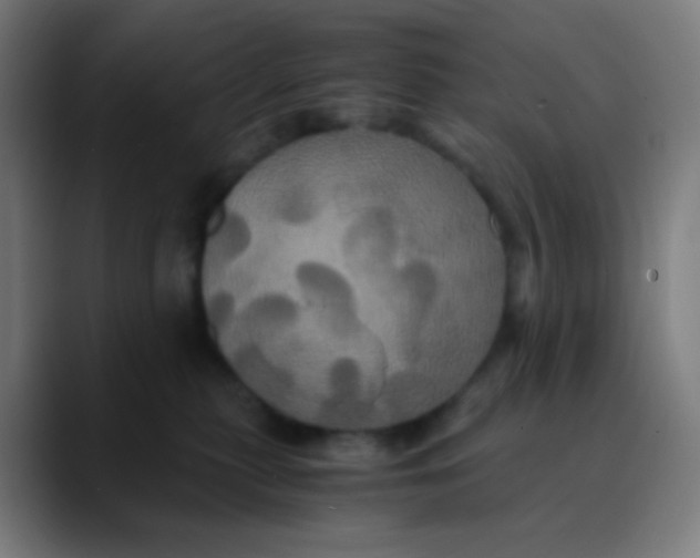 X0000089730279200707121455
