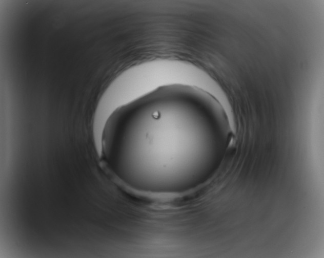 X0000089730280200707121455
