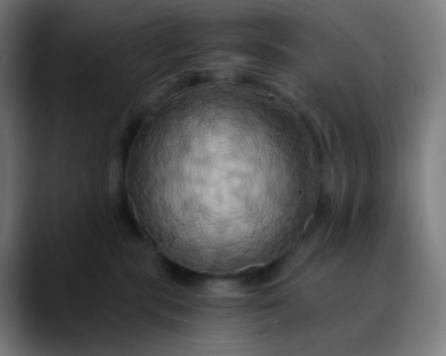 X0000089730283200707121455