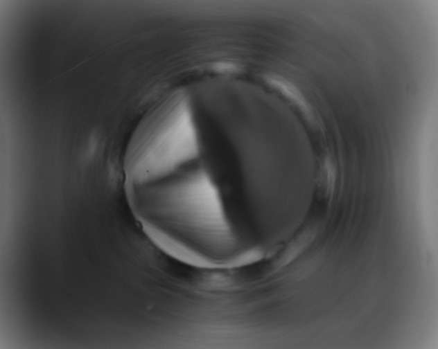X0000089730285200707121455