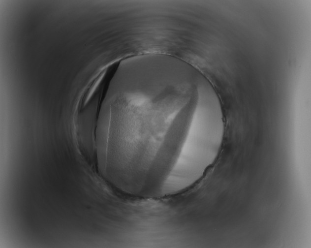 X0000089730290200707121454