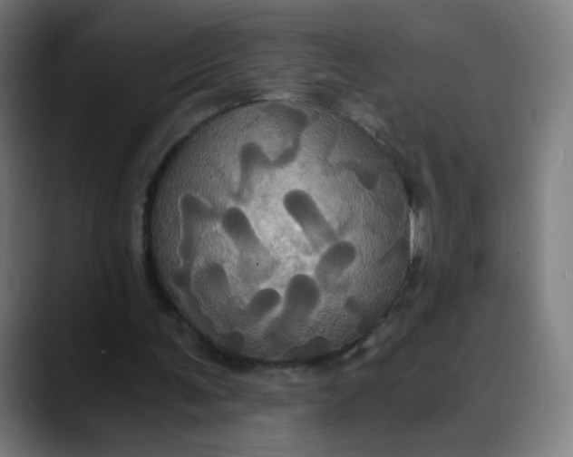 X0000089730291200707121454