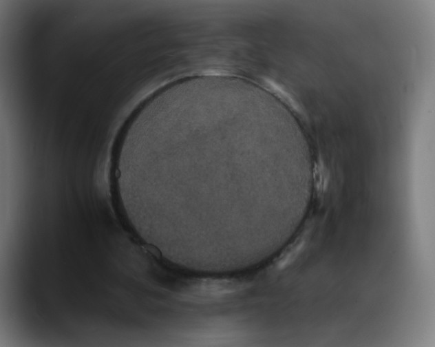 X0000089730292200707121454