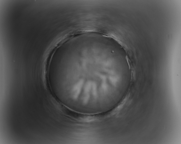 X0000089730293200707121454