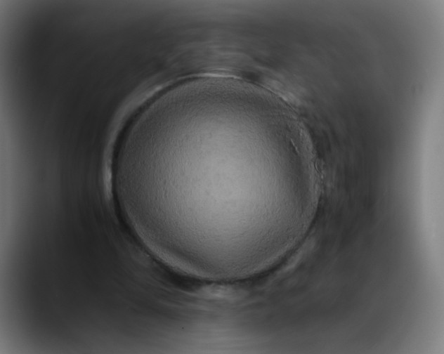 X0000089730294200707121454