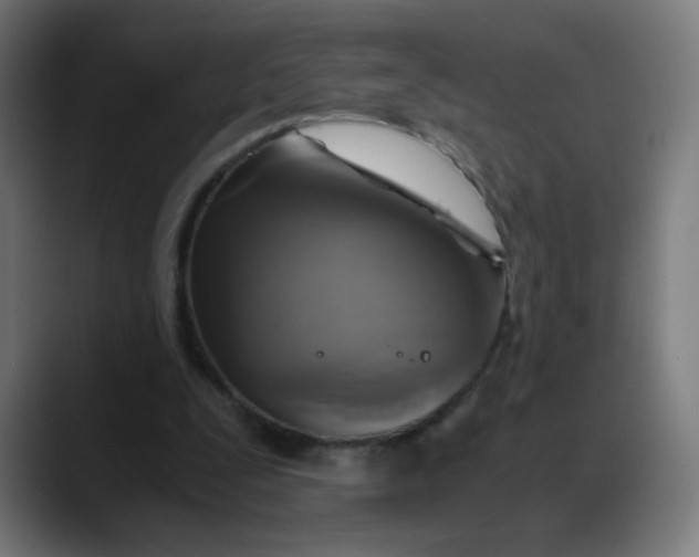 X0000089730295200707121454