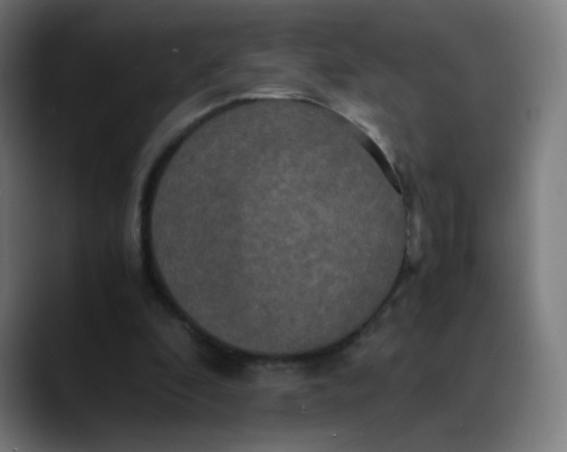 X0000089730296200707121454