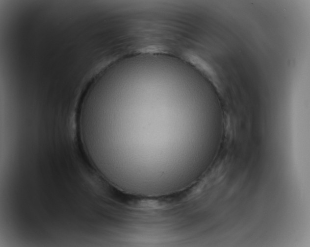 X0000089730298200707121454