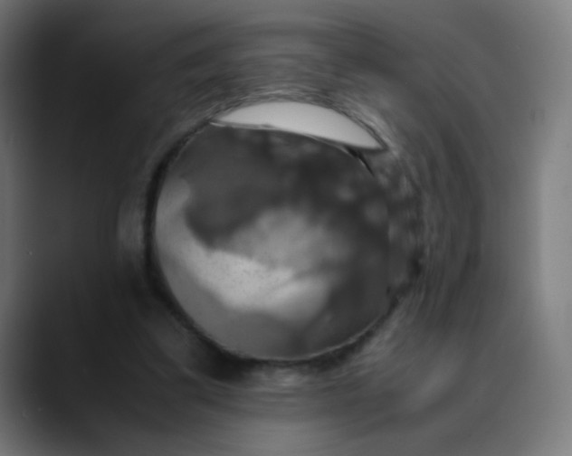 X0000089730299200707121454