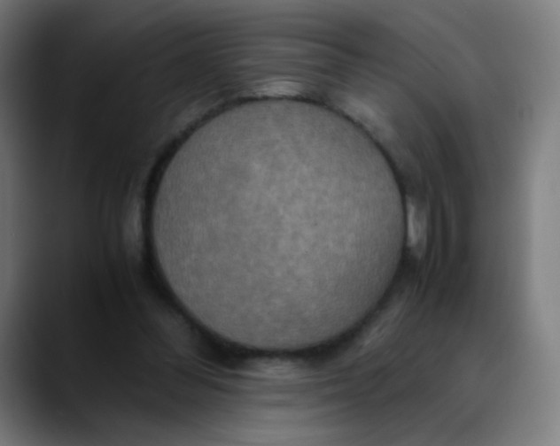 X0000089730300200707121454