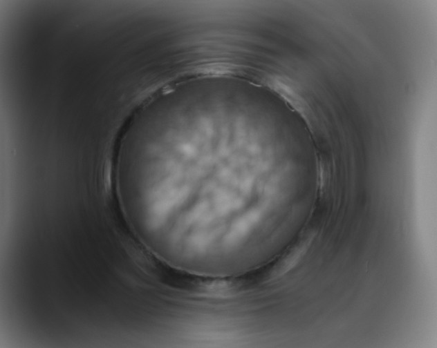 X0000089730301200707121454