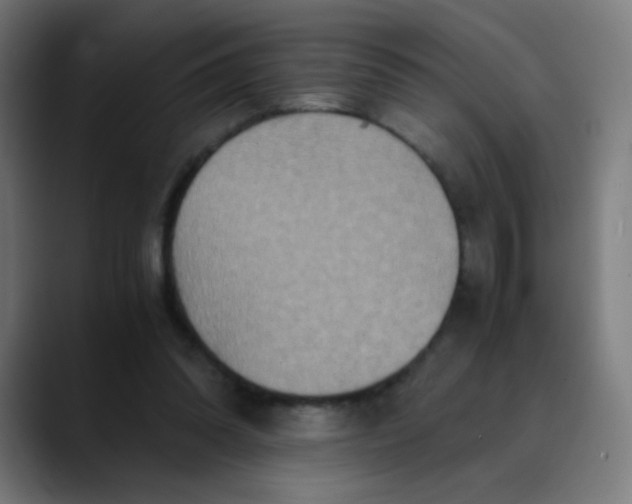 X0000089730302200707121454