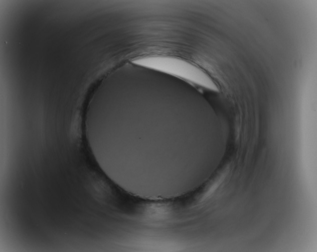 X0000089730303200707121454