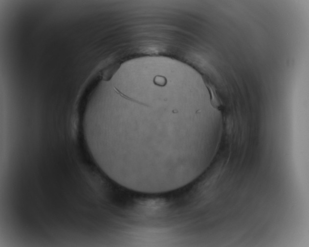 X0000089730304200707121454