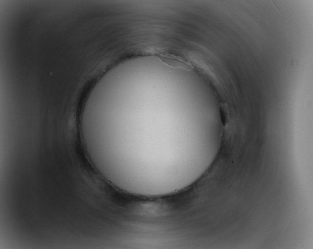 X0000089730306200707121454