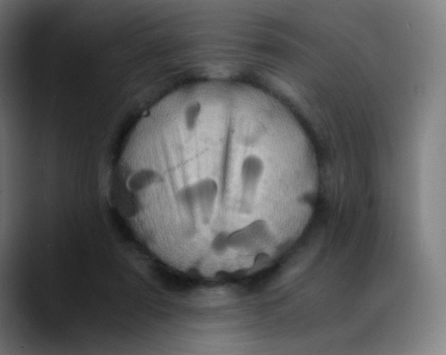 X0000089730307200707121454