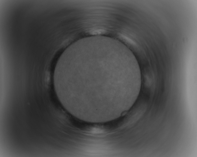 X0000089730308200707121454
