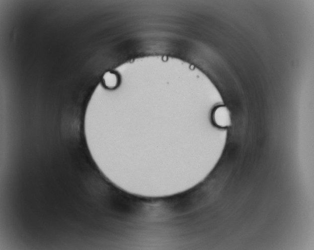 X0000089730309200707121454