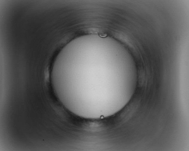 X0000089730310200707121454