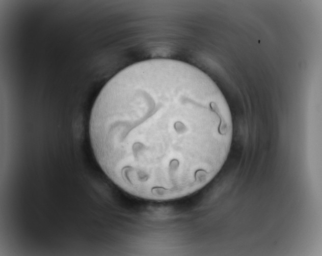 X0000089730311200707121454