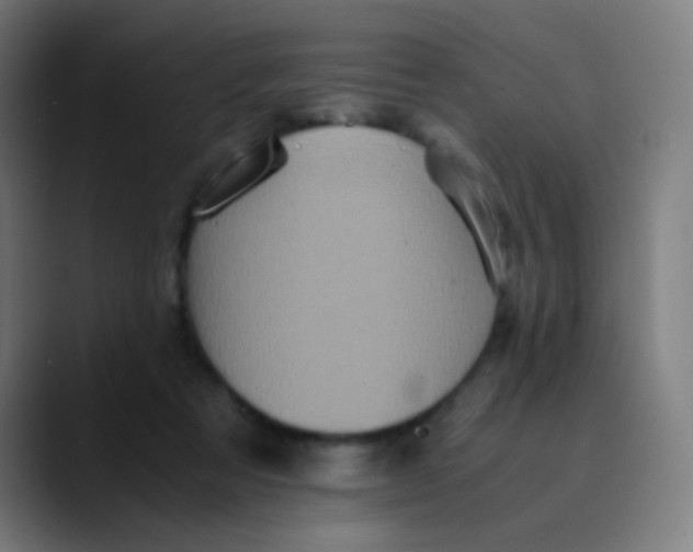 X0000089730313200707121454