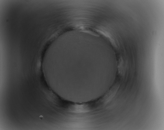 X0000089730314200707121454