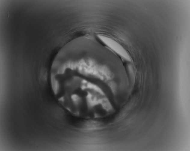 X0000089730315200707121454