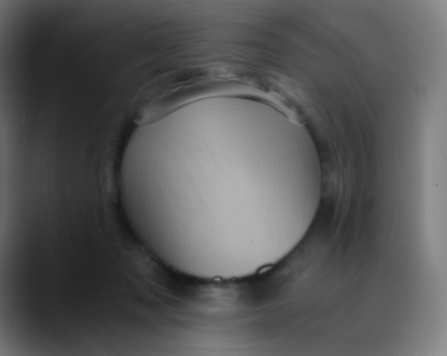 X0000089730317200707121454