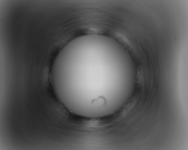 X0000089730318200707121454