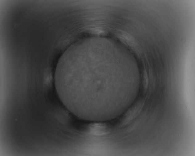 X0000089730320200707121454