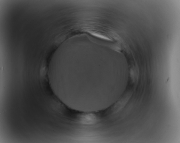 X0000089730322200707121454