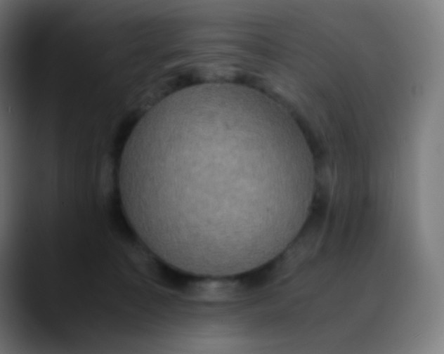 X0000089730323200707121454