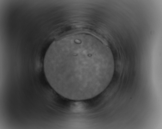 X0000089730324200707121454