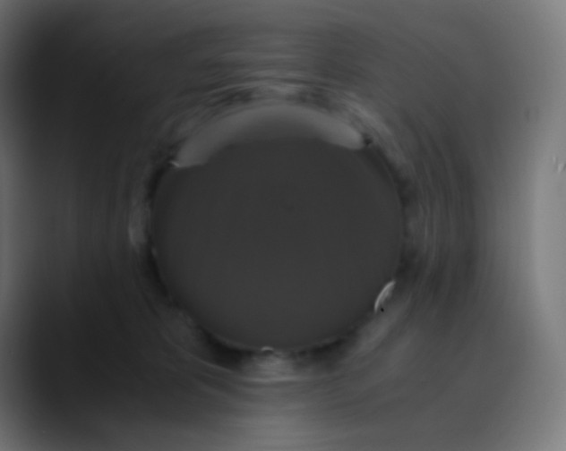 X0000089730325200707121453