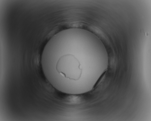 X0000089730326200707121453