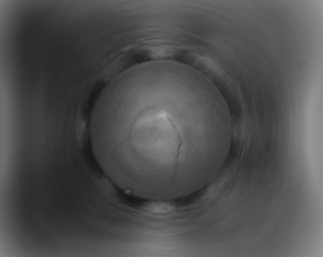 X0000089730327200707121453