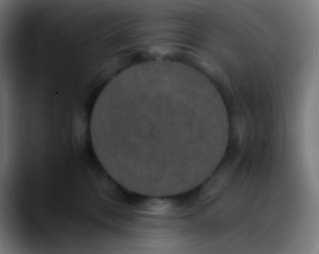 X0000089730328200707121453
