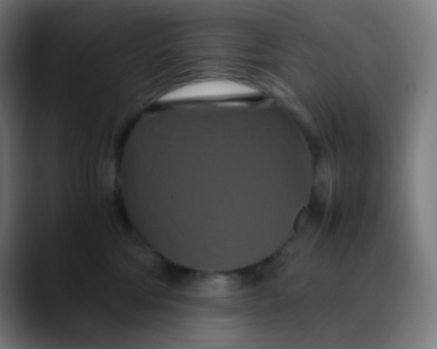 X0000089730330200707121453