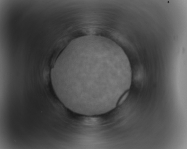 X0000089730332200707121453