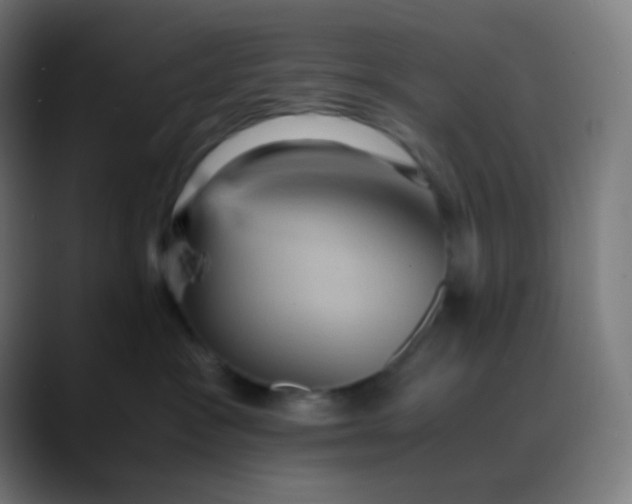 X0000089730333200707121453