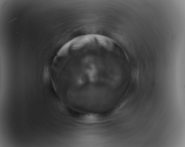 X0000089730335200707121453