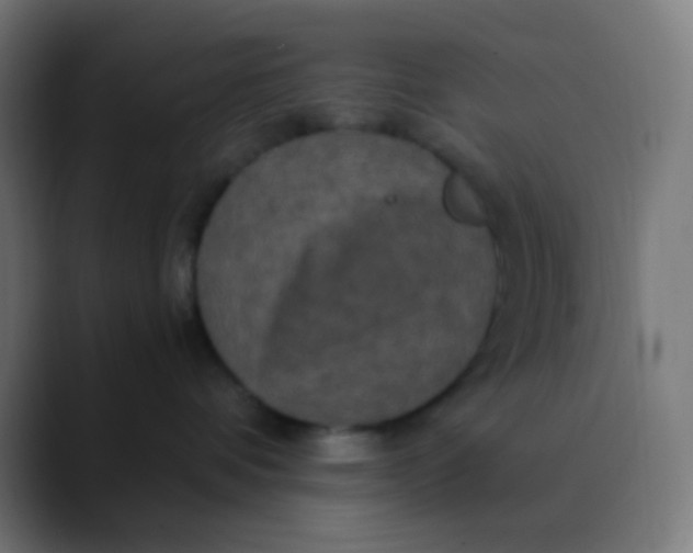 X0000089730336200707121453