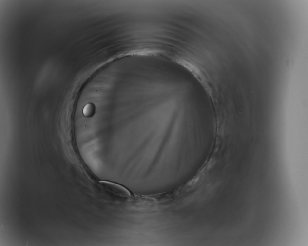 X0000089730337200707121453