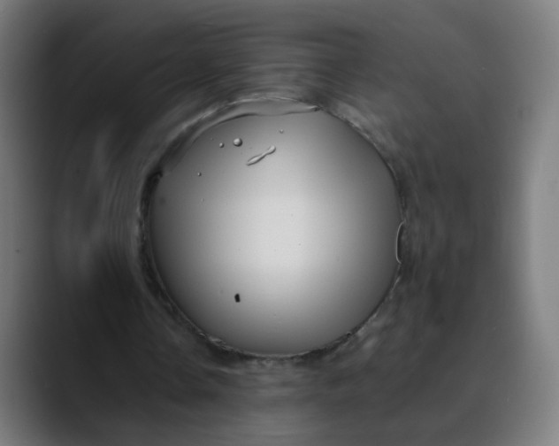 X0000089730338200707121453