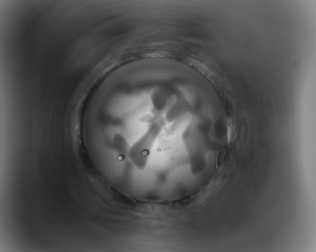 X0000089730339200707121453