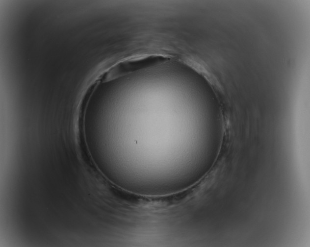 X0000089730340200707121453